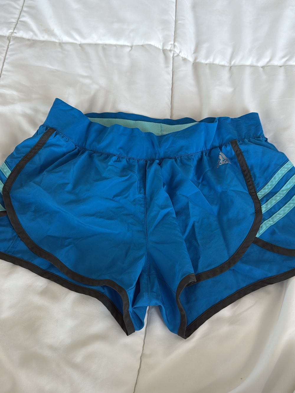 adidas Women's Bright Blue Athletic Shorts with Mint Accents